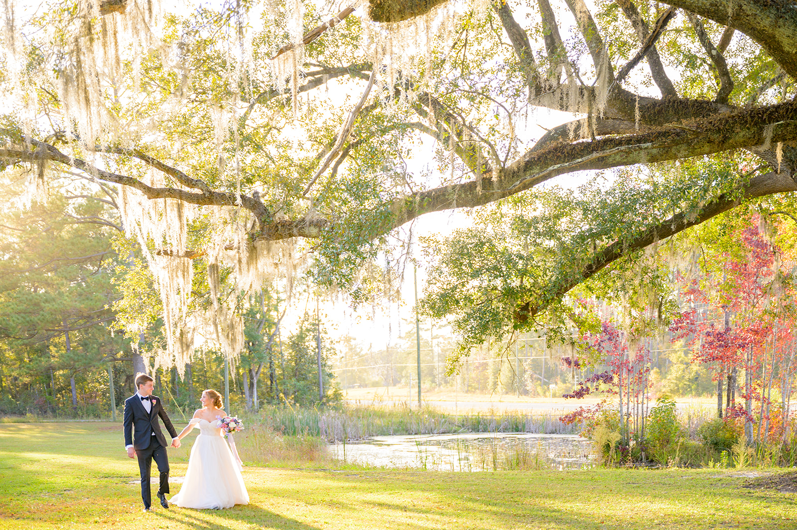 bride and groom holding hands under tree covered in spanish moss