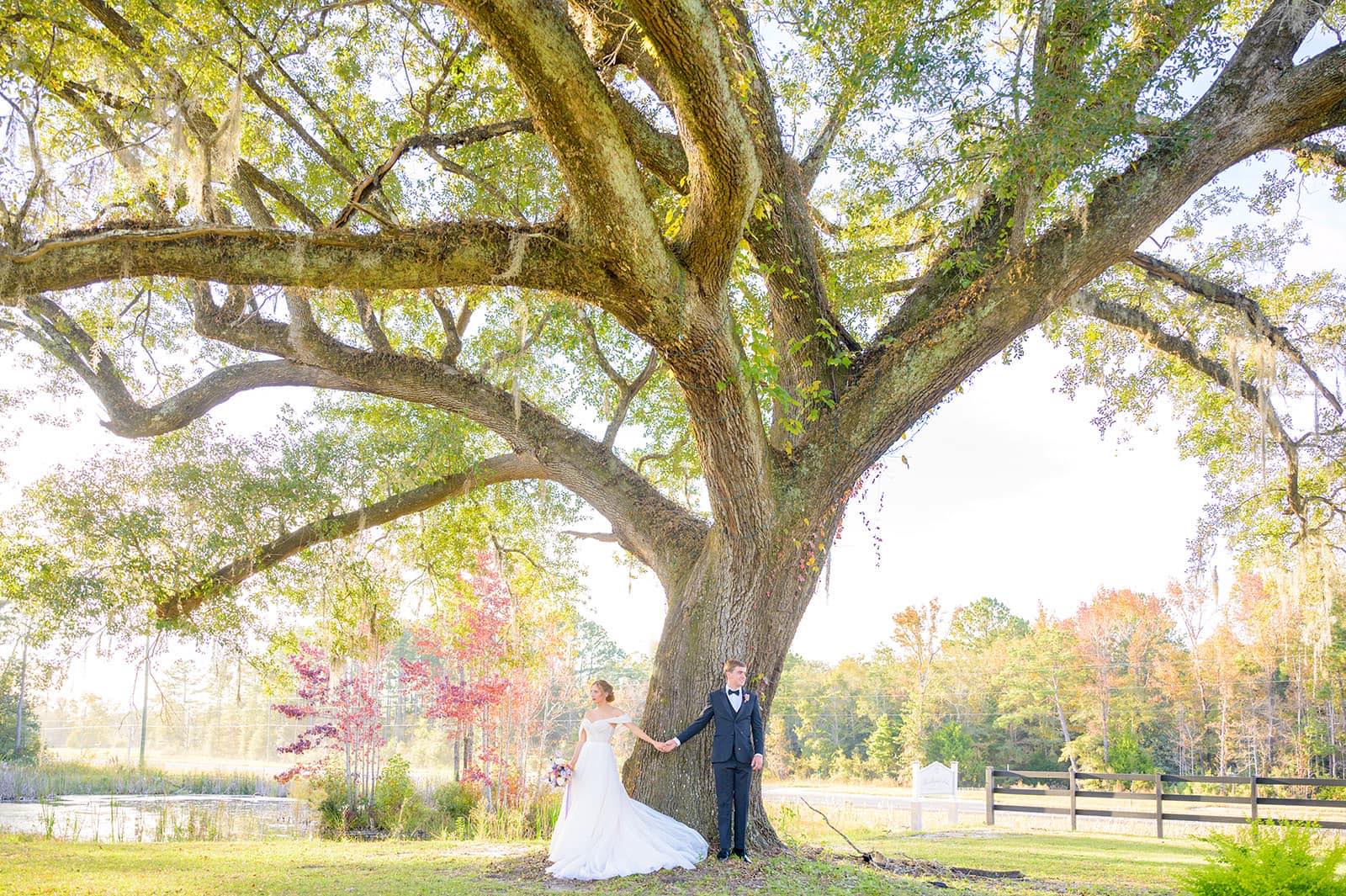 bride and groom holding hands under large tree